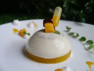 Mango and Vanilla Pannacotta